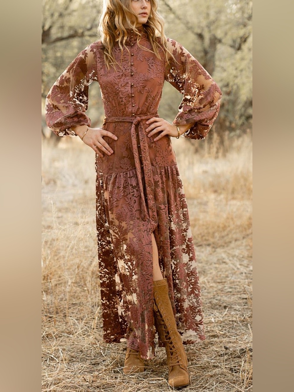 JOYFOLIE Bellana Dress in Rosette | Romantic Embroidered Mesh Maxi Dress | NWT - Picture 2 of 16